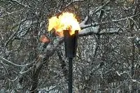 Факел садовый январь 2012 (197221) производство ø 65 мм. ветроустойчивая  в Нижневартовске