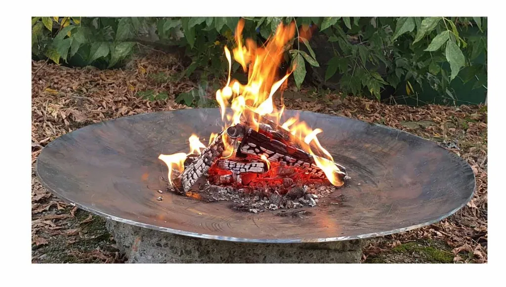 Кованная чаша для костра - авторский дизайн доставка в Нижневартовск